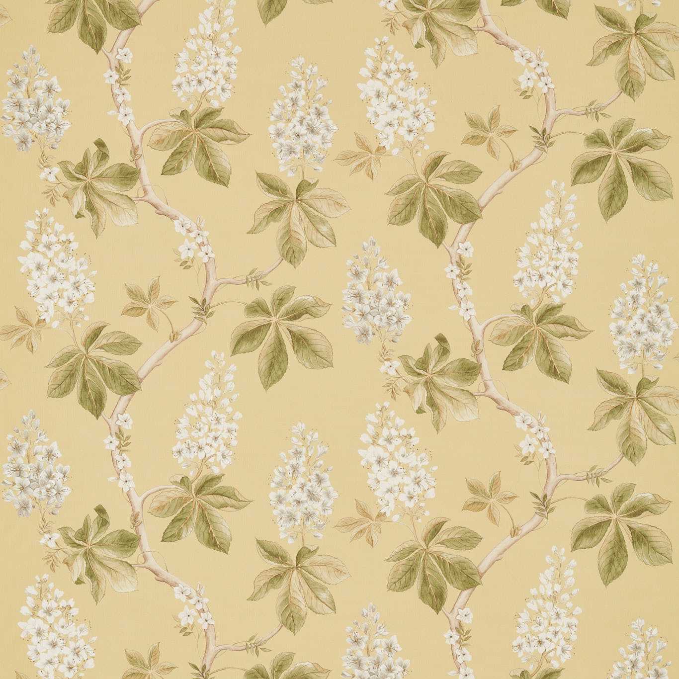 SANDERSON Chestnut Tree Fabric Classic Floral Lemon,Lettuce - DWOW225516