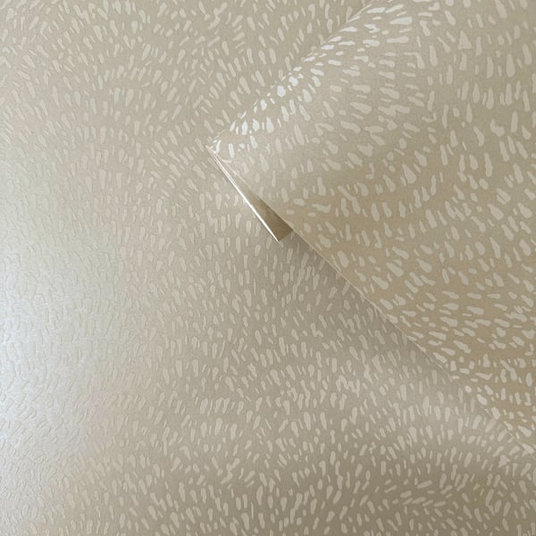 Galerie Wallcoverings Zen Fan Fleck Galerie Wallcoverings Cream - DWP0363-03
