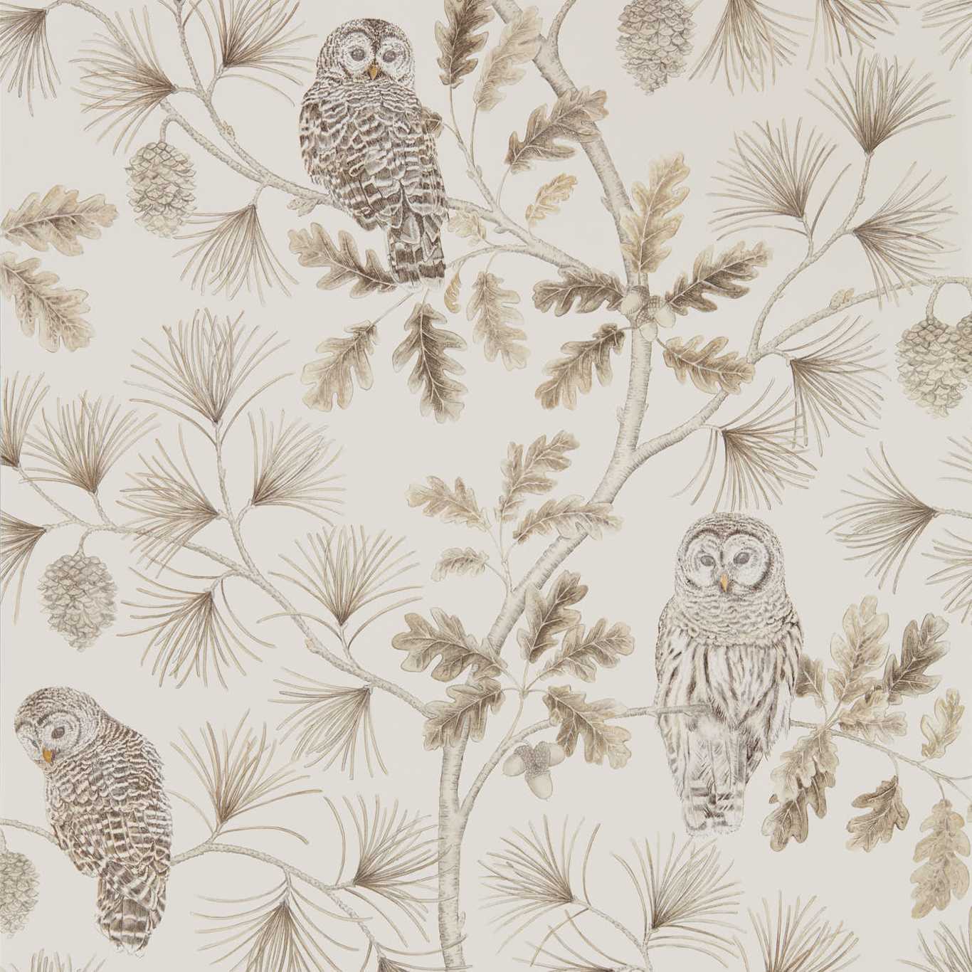 SANDERSON Owlswick Wallpaper Birds Linen Gravure - Wide Width Printed Wallpaper - DYSI216598
