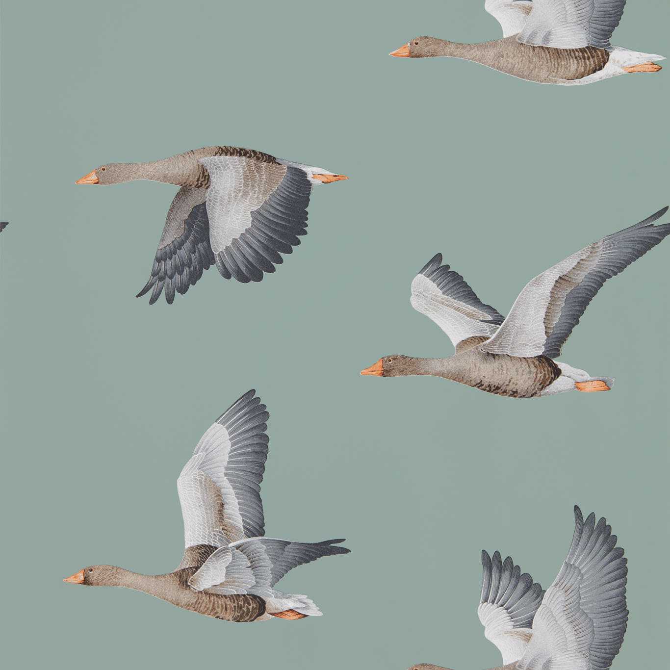 SANDERSON Elysian Geese Wallpaper Birds Blue Clay Rotary/Gravure Wide Width Printed Wallpaper - DYSI216610