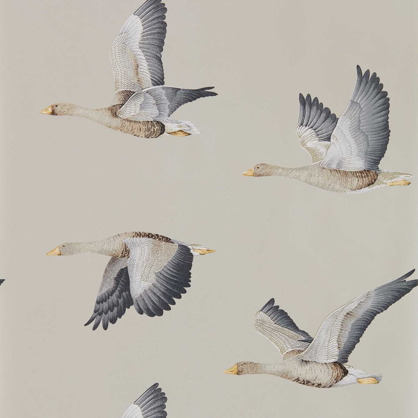 SANDERSON Elysian Geese Wallpaper Birds Gilver Rotary/Gravure Wide Width Printed Wallpaper - DYSI216611