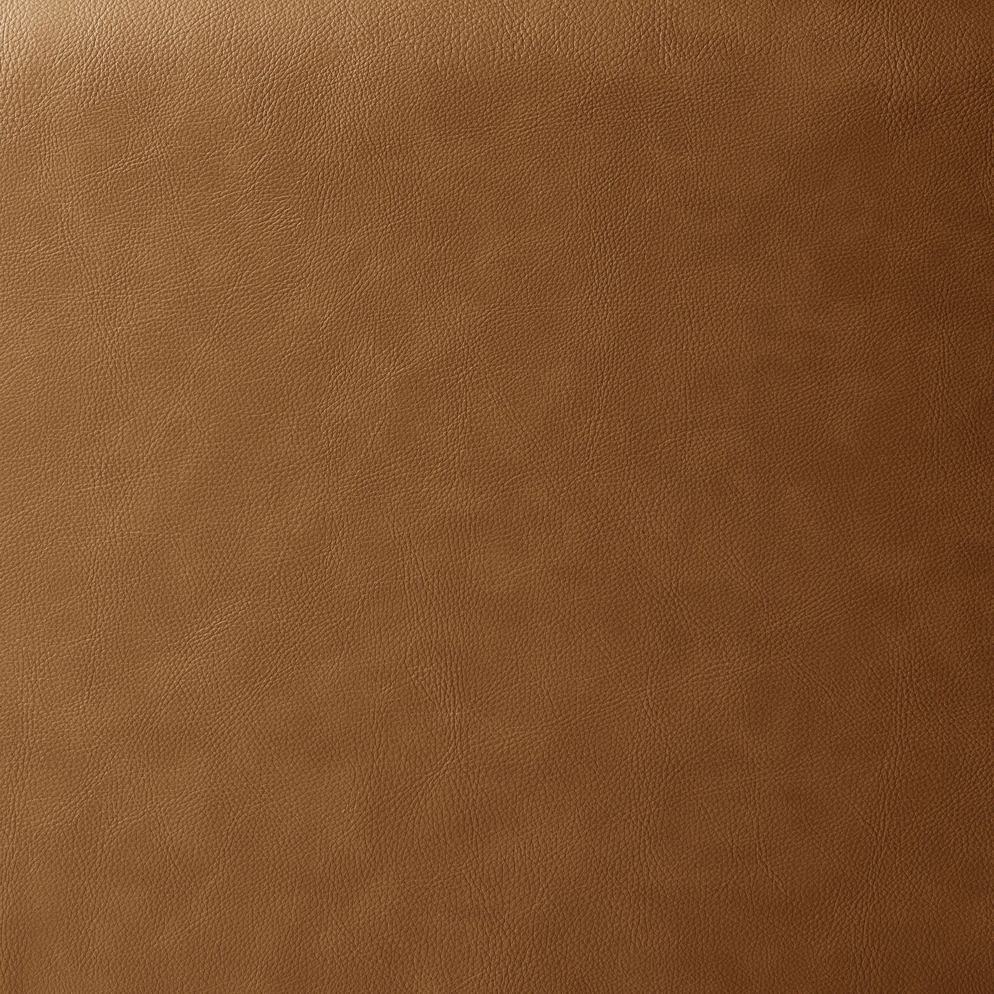 Modway - Revive Upholstered Vegan Leather Loveseat by Modway Living Room Sofas and Armchairs Brown - EEI-6974-TAN