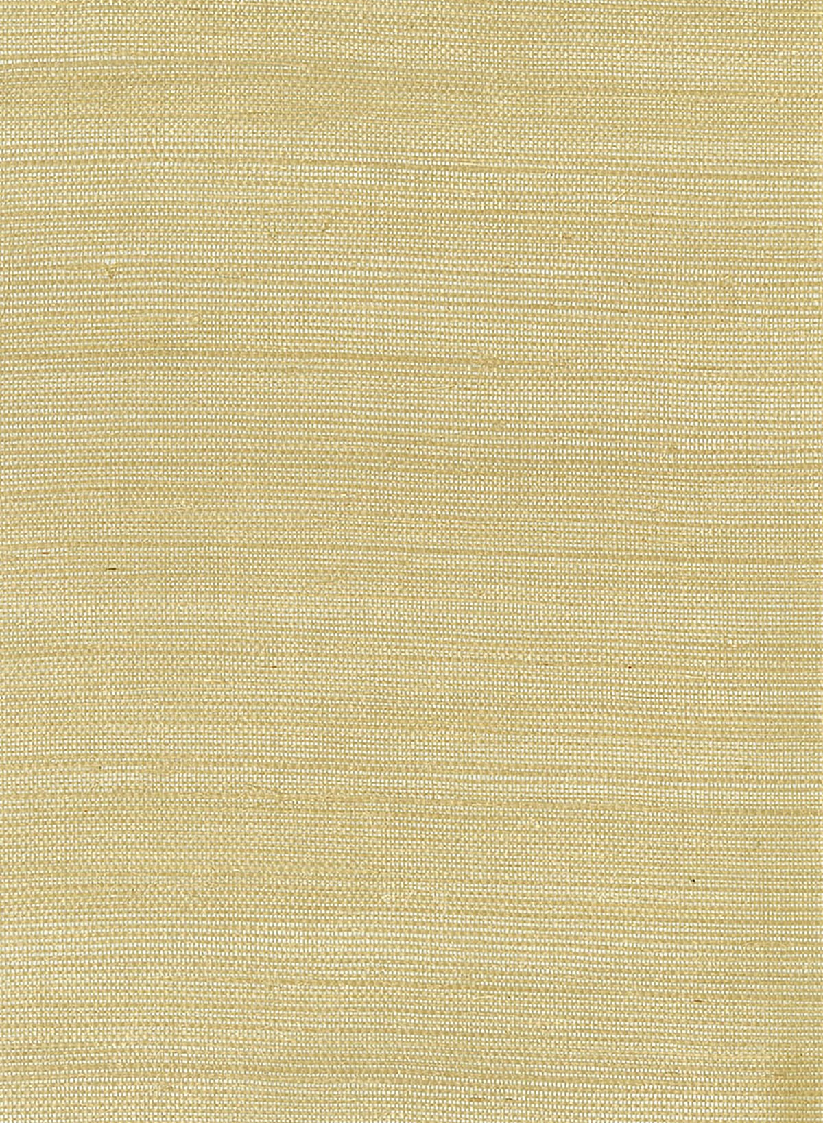 Seabrook Designs Natural Resource Sisal Grasscloth Contemporary Silver Metallic - EL312X