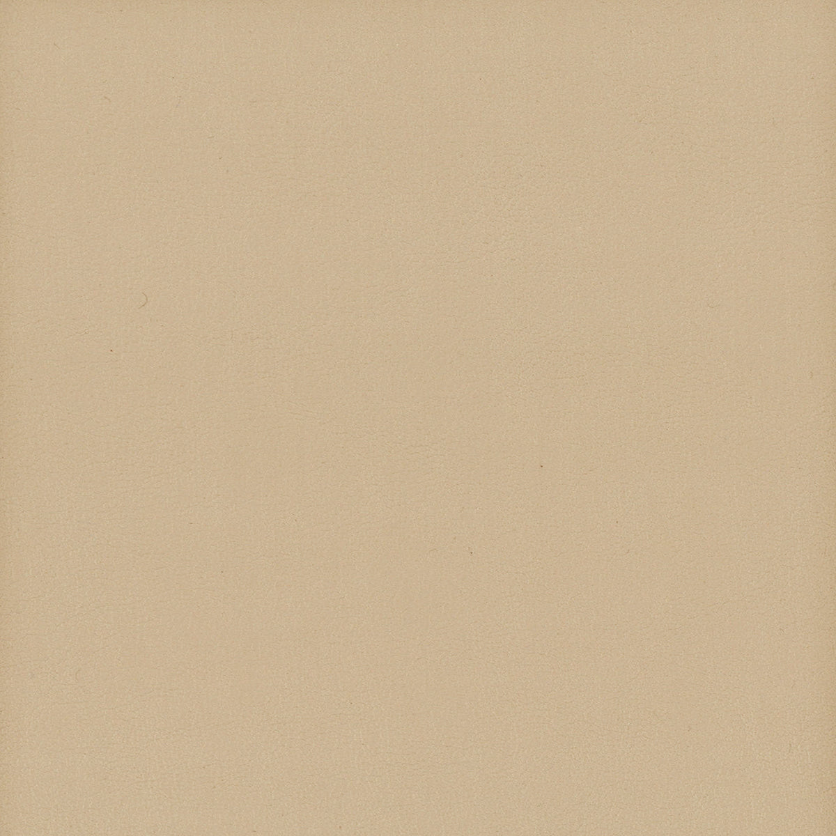 STOUT TEXTILES FAUX LEATHER TRADITIONAL, SOLID BISCUIT - ELBE-11