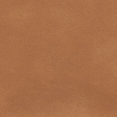 NICHOLASJOHN INC NJ-CIERRA Camel Fabric - NJ25-2995