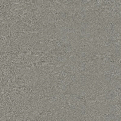 NICHOLASJOHN INC NJ-CIERRA Lt Gray Fabric - NJ25-3006