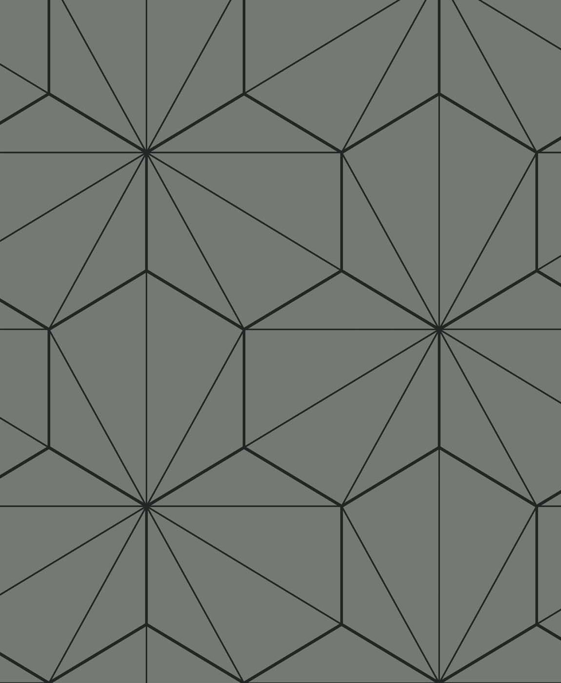 Etten Studios Etten Studios Online Hedron Geometric Geometric Contemporary Grey Matte - ET11305