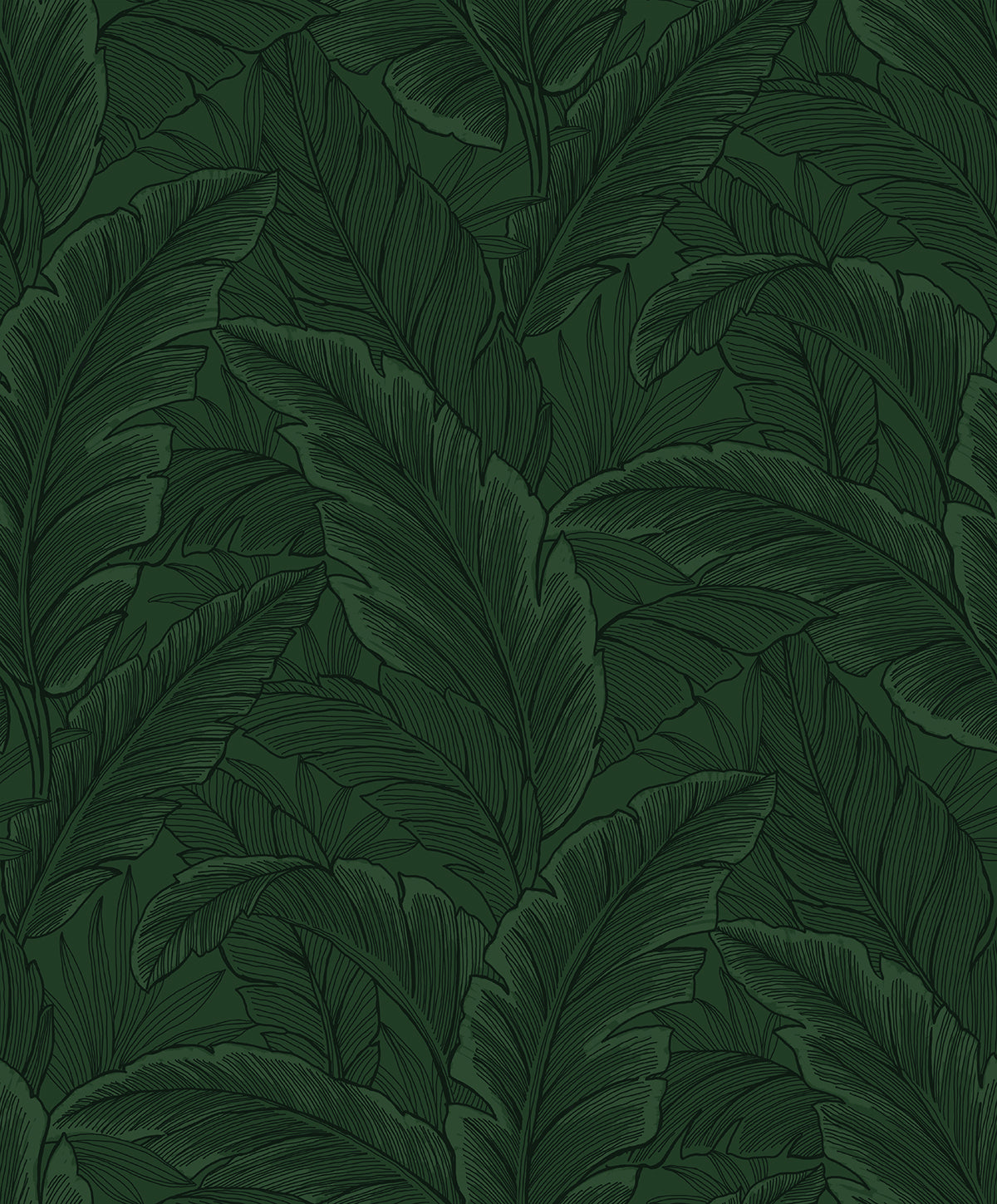 Etten Studios Etten Studios Online Gulf Tropical Leaves Palm Leaves Tropical Green Matte - ET13004