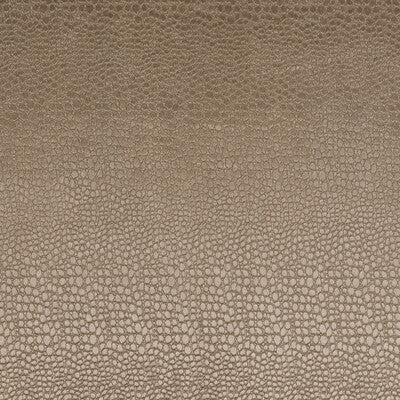 CLARKE AND CLARKE WEAVE ANIMAL SKINS ,, - F0469/15.CAC.0 OUTLET