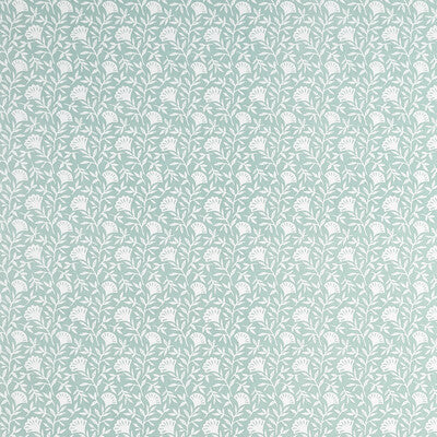 CLARKE AND CLARKE PRINT MINT,MINERAL,WHITE - F1465/04.CAC.0 OUTLET