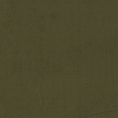 CLARKE AND CLARKE VELVET SOLID GREEN,, - F1511/08.CAC.0 OUTLET