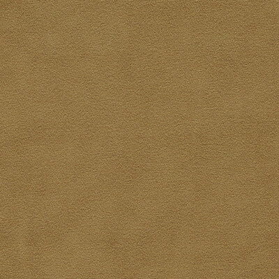 CLARKE AND CLARKE VELVET SOLID GOLD,CAMEL,YELLOW - F1511/14.CAC.0 OUTLET