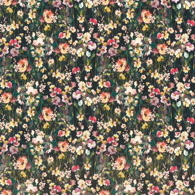 CLARKE AND CLARKE VELVET MULTI,PURPLE, - F1575/04.CAC.0 OUTLET