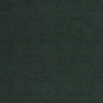 CLARKE AND CLARKE VINYL/FAUX LEATHER TEXTURE EMERALD,GREEN, - F1598/05.CAC.0 OUTLET