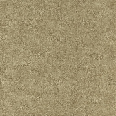 CLARKE AND CLARKE VINYL/FAUX LEATHER TEXTURE GOLD,WHEAT, - F1598/06.CAC.0 OUTLET