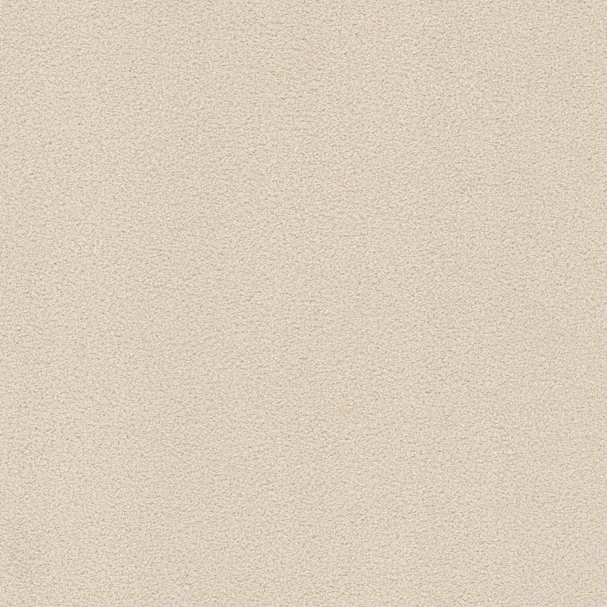 STOUT TEXTILES UPHOLSTERY,TEXTURE TRADITIONAL, SOLID ECRU - FINN-2