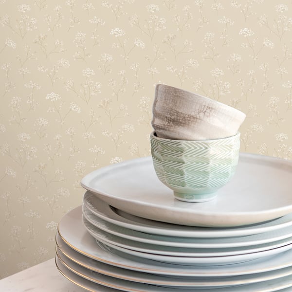 Cream parsley floral wallpaper with a beige botanical pattern.