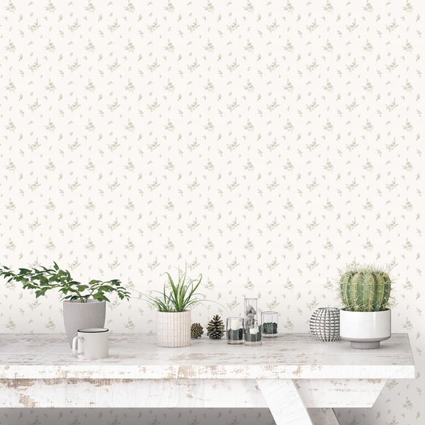 Farmhouse-style scene on a whitewashed table with potted plants, cactus, glass jars, and pinecones beside beige floral wallpaper.