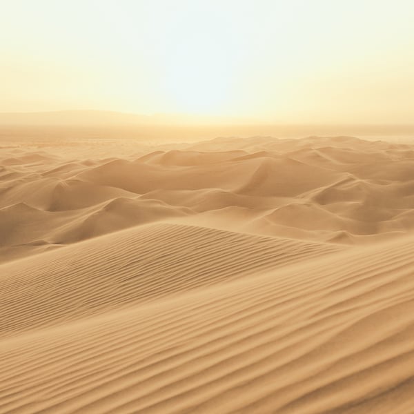 Galerie Wallcoverings Atmosphere MURAL Galerie Wallcoverings Gold - G78423