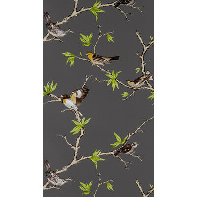 GASTON Y DANIELA VILLA FIORI PRINT--ANIMAL/INSECTS-BOTANICAL & FLORAL ANTRACITA - GDW5104.001.0 OUTLET
