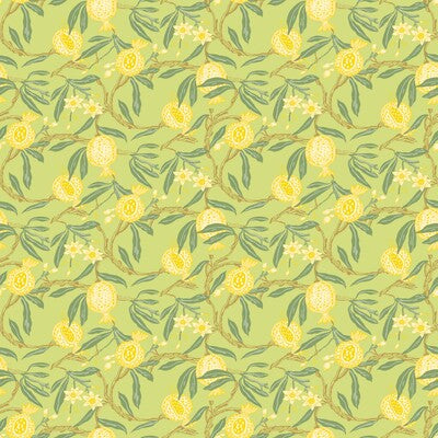 GASTON Y DANIELA GRANADAS PRINT--BOTANICAL & FLORAL-VEGETABLE/FRUIT AMARILLO - GDW5439.004.0 OUTLET