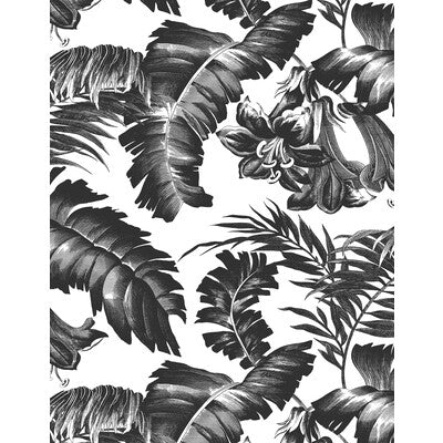 GASTON Y DANIELA PLANTATION PRINT--BOTANICAL & FLORAL-TROPICAL BLACK&WHITE - GDW5449.005.0 OUTLET