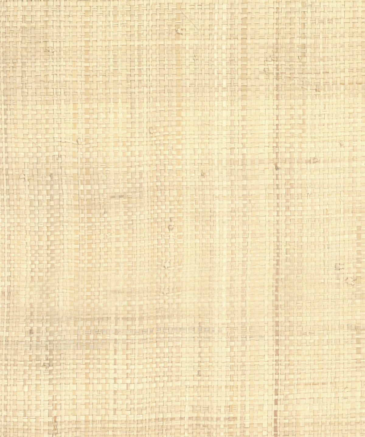 Seabrook Designs Raffia Grasscloth Contemporary Beige - GG10006