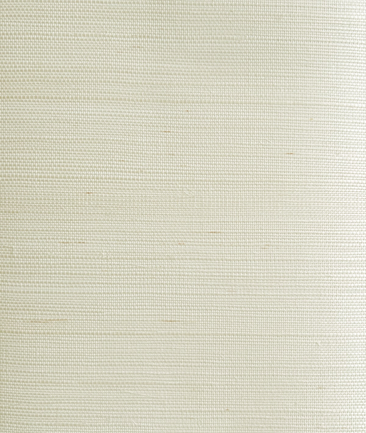 Seabrook Designs Bleached Sisal Grasscloth Contemporary Whites, Off-Whites - GG10010