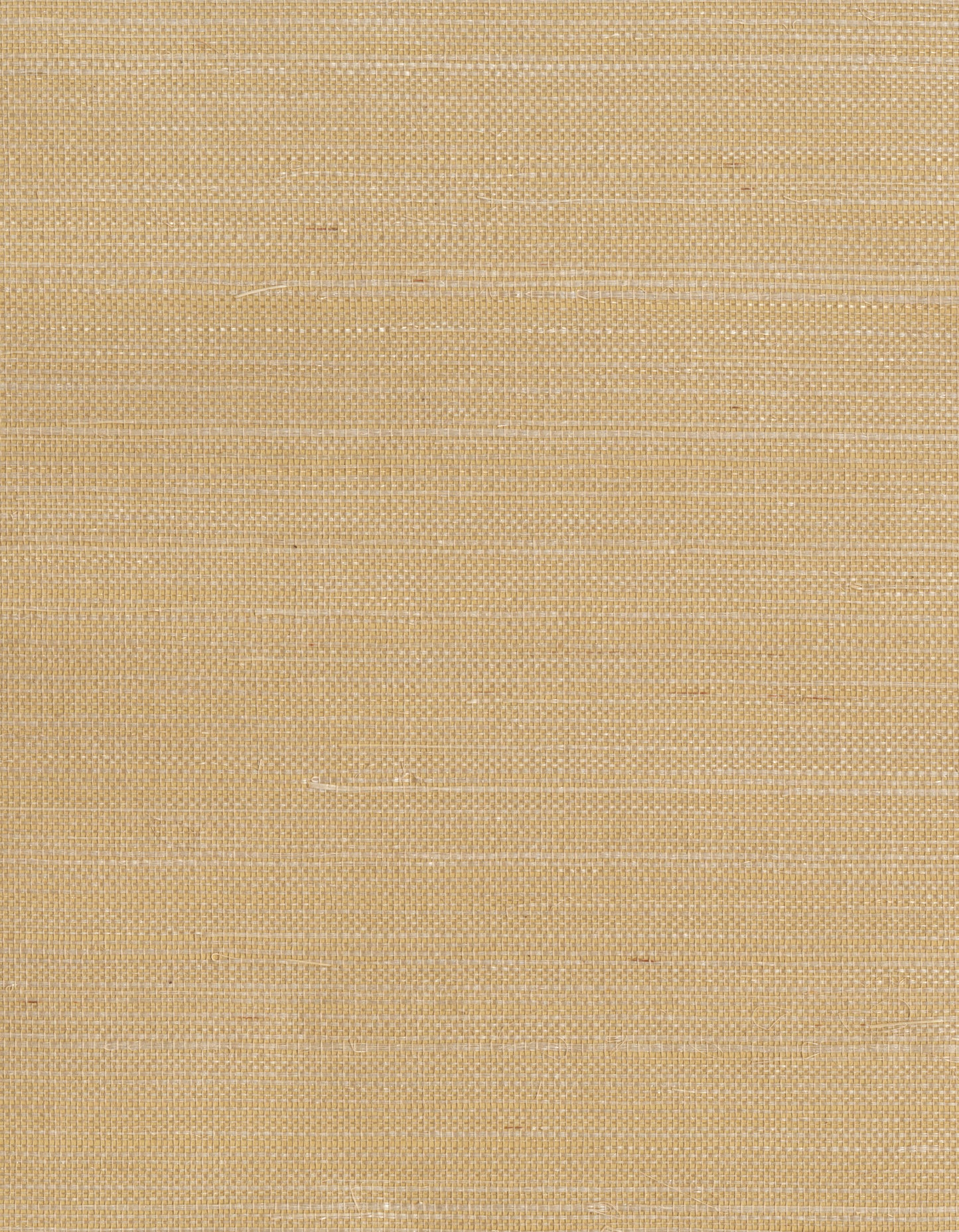 York Wallcoverings Grasscloth Resource - GR1079