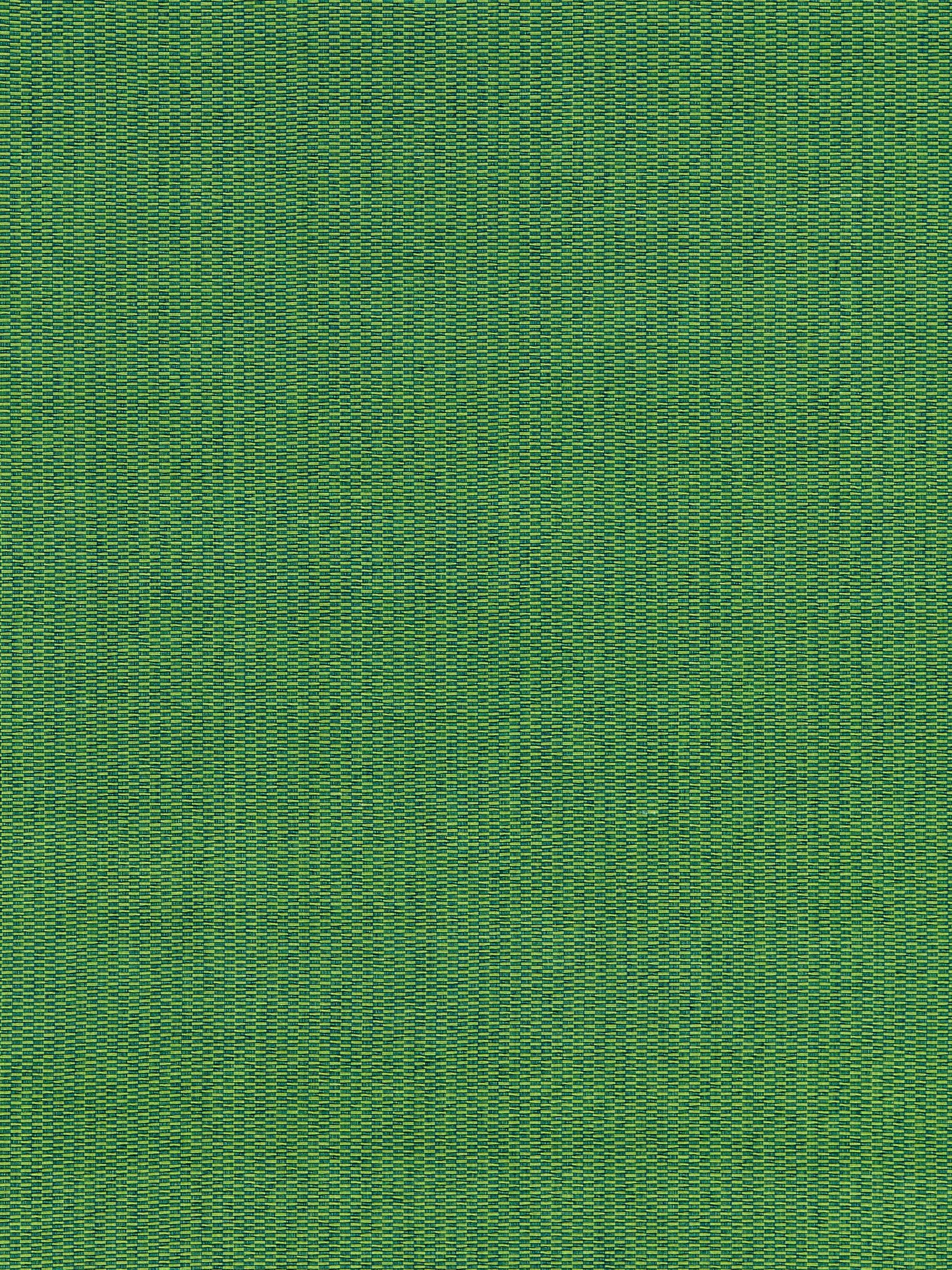 SCALAMANDRE REED TEXTURE FABRIC PALM - GW 000427212 NEW SKU # GW272120004