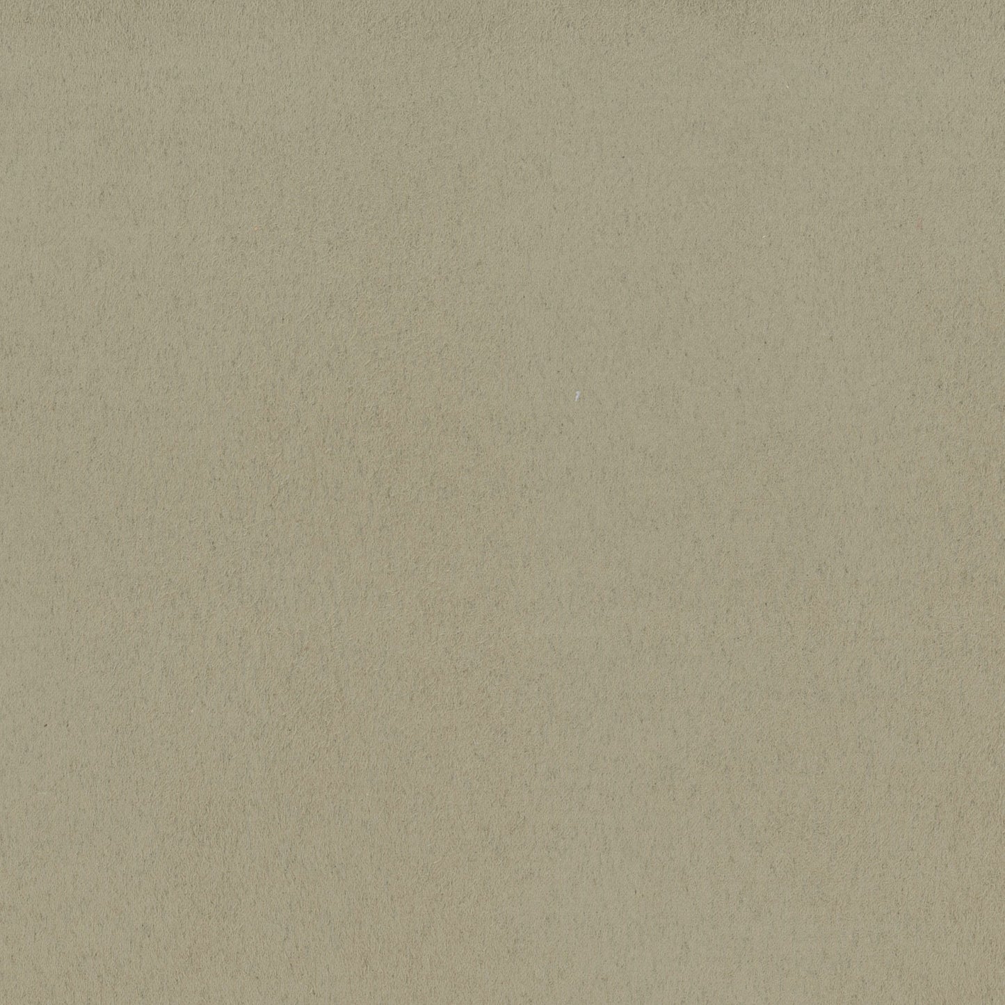 SCALAMANDRE SARABELLE SUEDE FABRIC BUCKWHEAT - H6 0002SARA NEW SKU # H6SARA0002