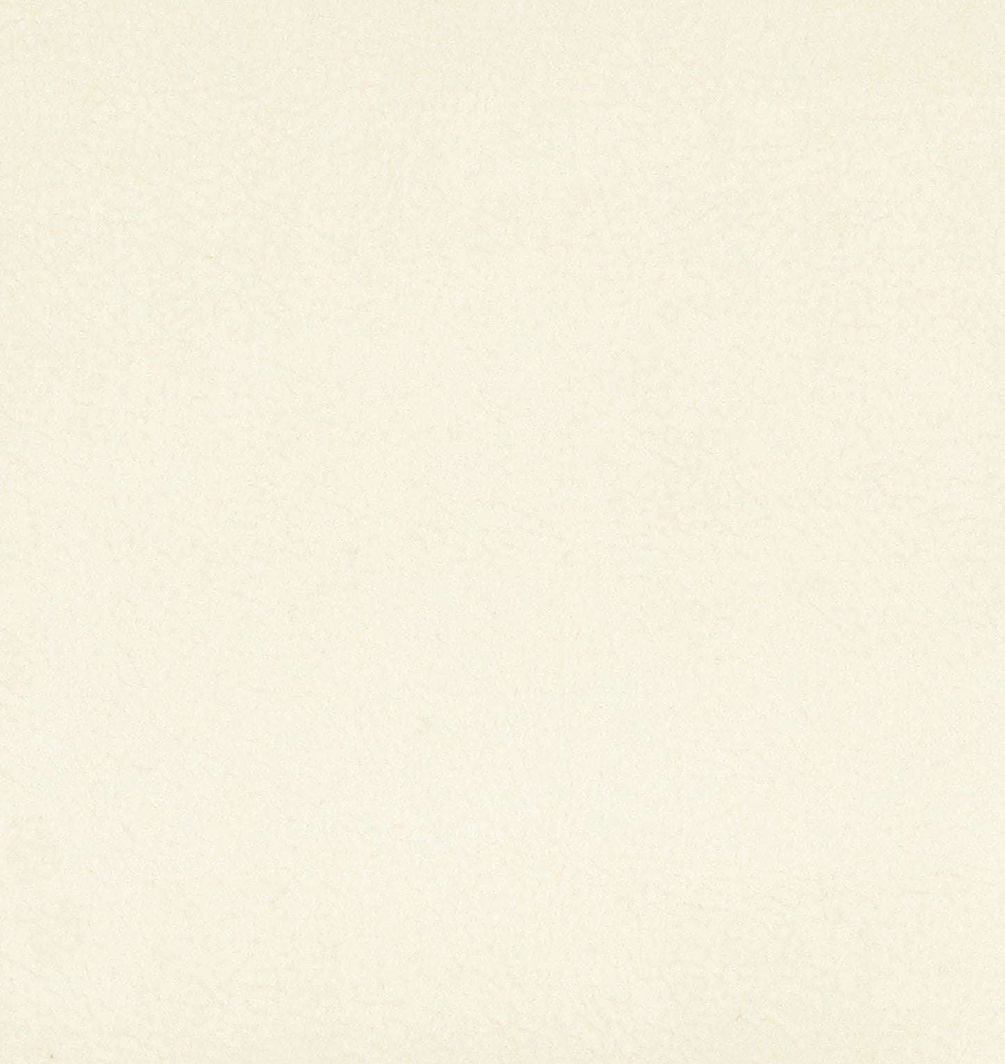 SCALAMANDRE GEORGIA SUEDE FABRIC CUSTARD - H6 37425937 NEW SKU # H659373742