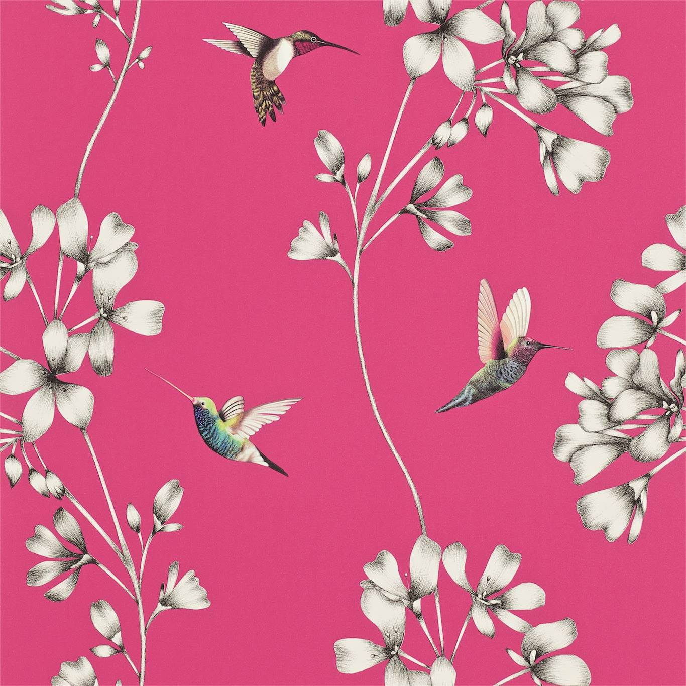 HARLEQUIN OUTLET Amazilia Wallpaper Contemporary Floral Flamingo - HAMA111058