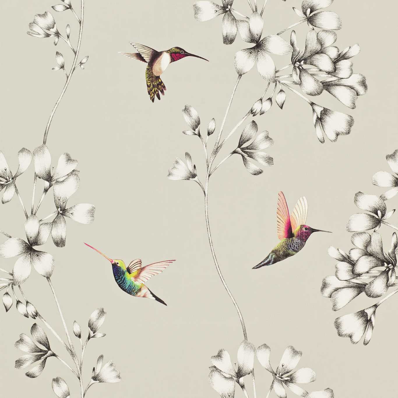 HARLEQUIN Amazilia Wallpaper Contemporary, Floral Silver Gravure Printed Wallpaper - HAMA111062