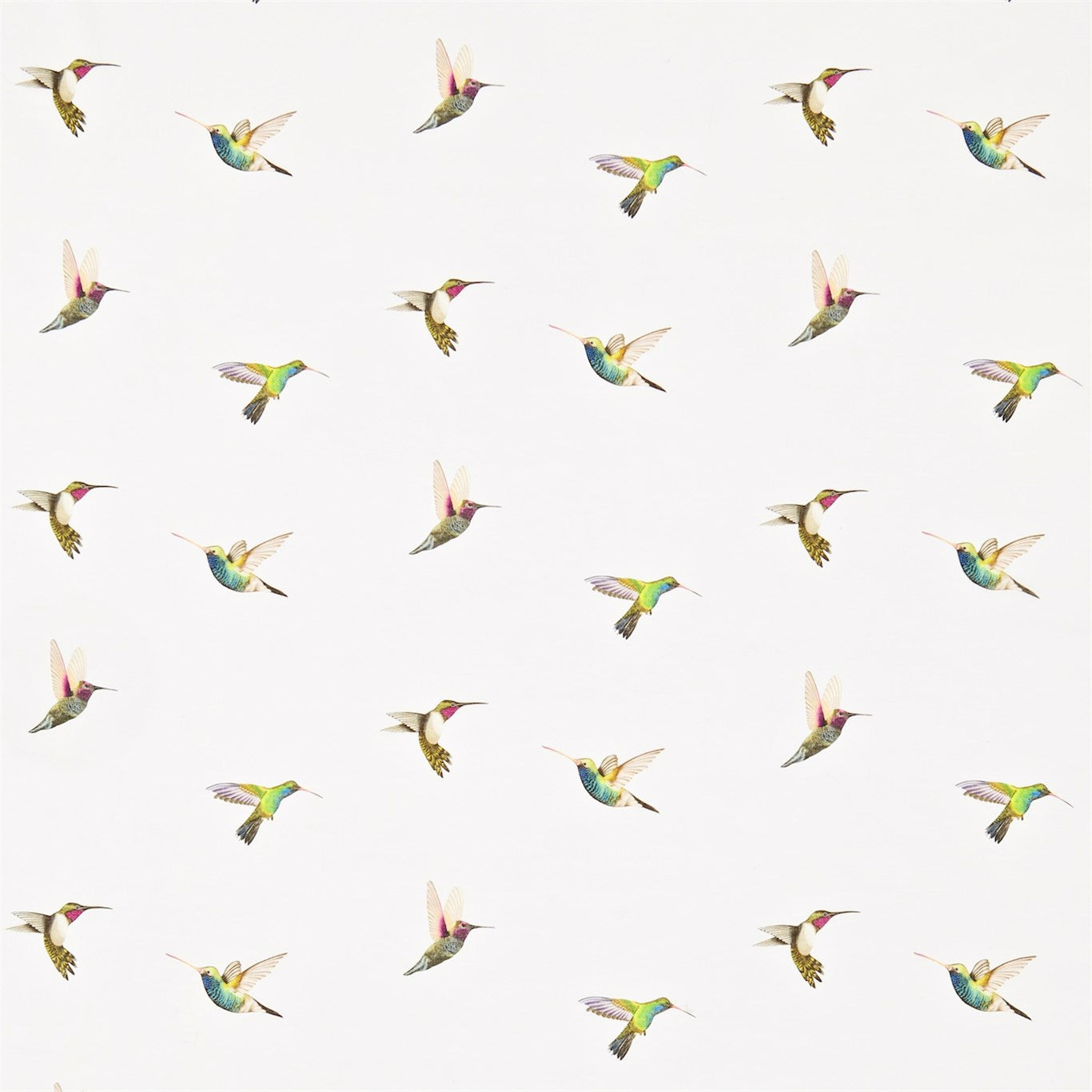 HARLEQUIN Amazilia Fabric Other Flamingo,Papaya,Apple - HAMA120350