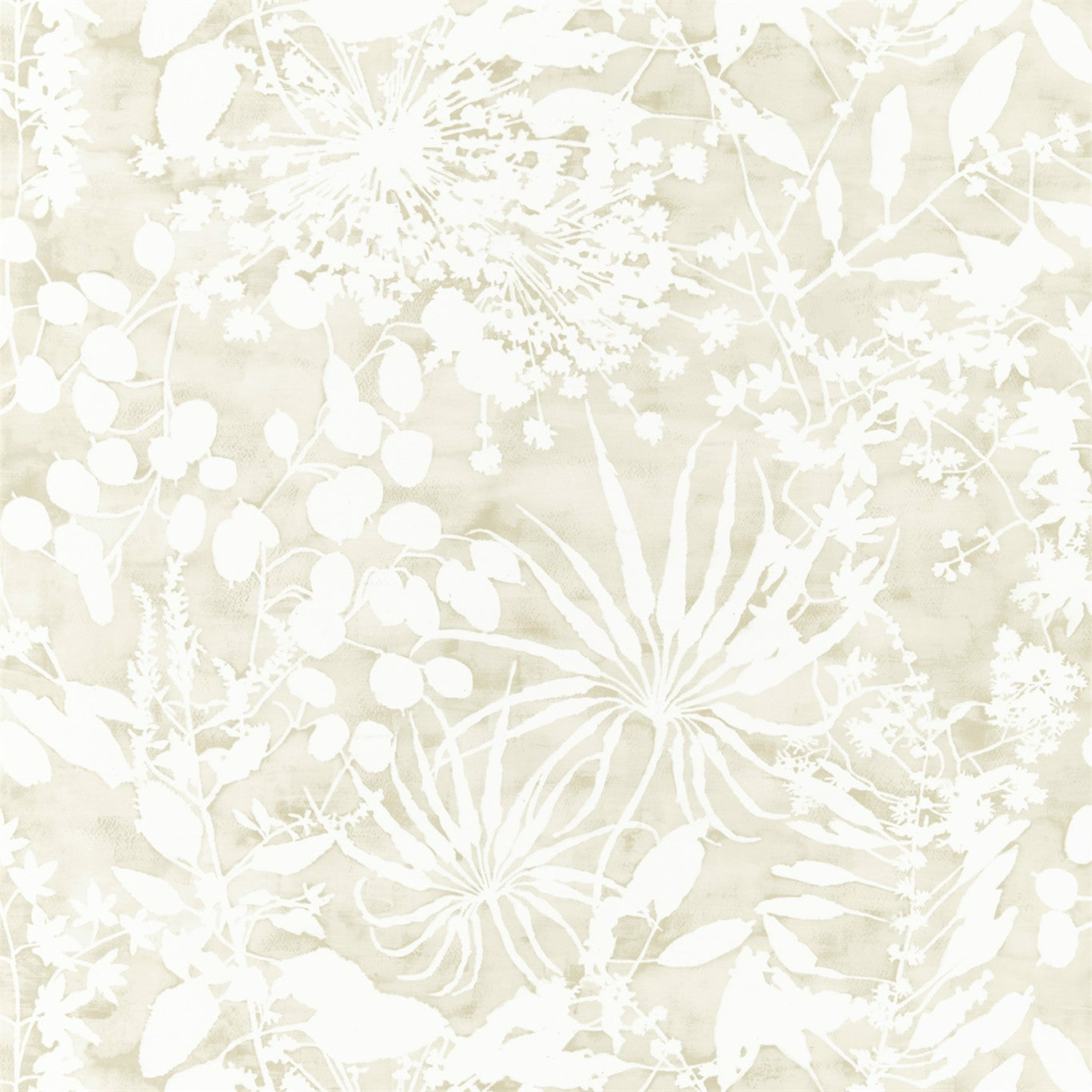 HARLEQUIN OUTLET Coralline Wallpaper Leaves , Trees Pebble - HANZ111638