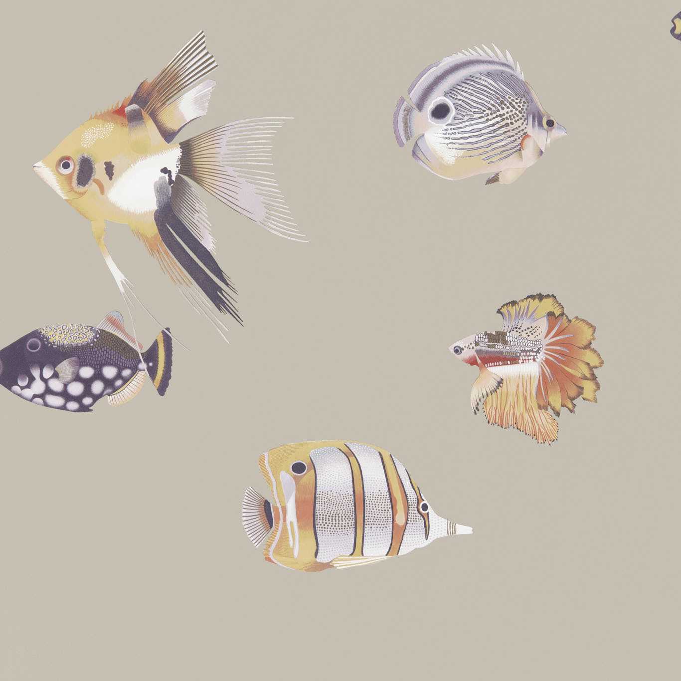 HARLEQUIN Kamanu Wallpaper Animals Mandarin,Fig Gravure Printed Wallpaper - HANZ111647