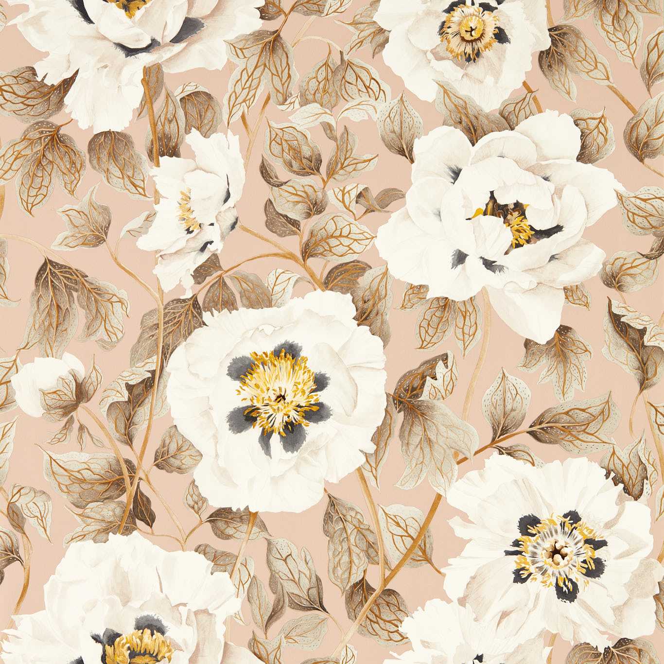 Peach-toned floral wallpaper with large white peony-like flowers and yellow centers, brown leaves.