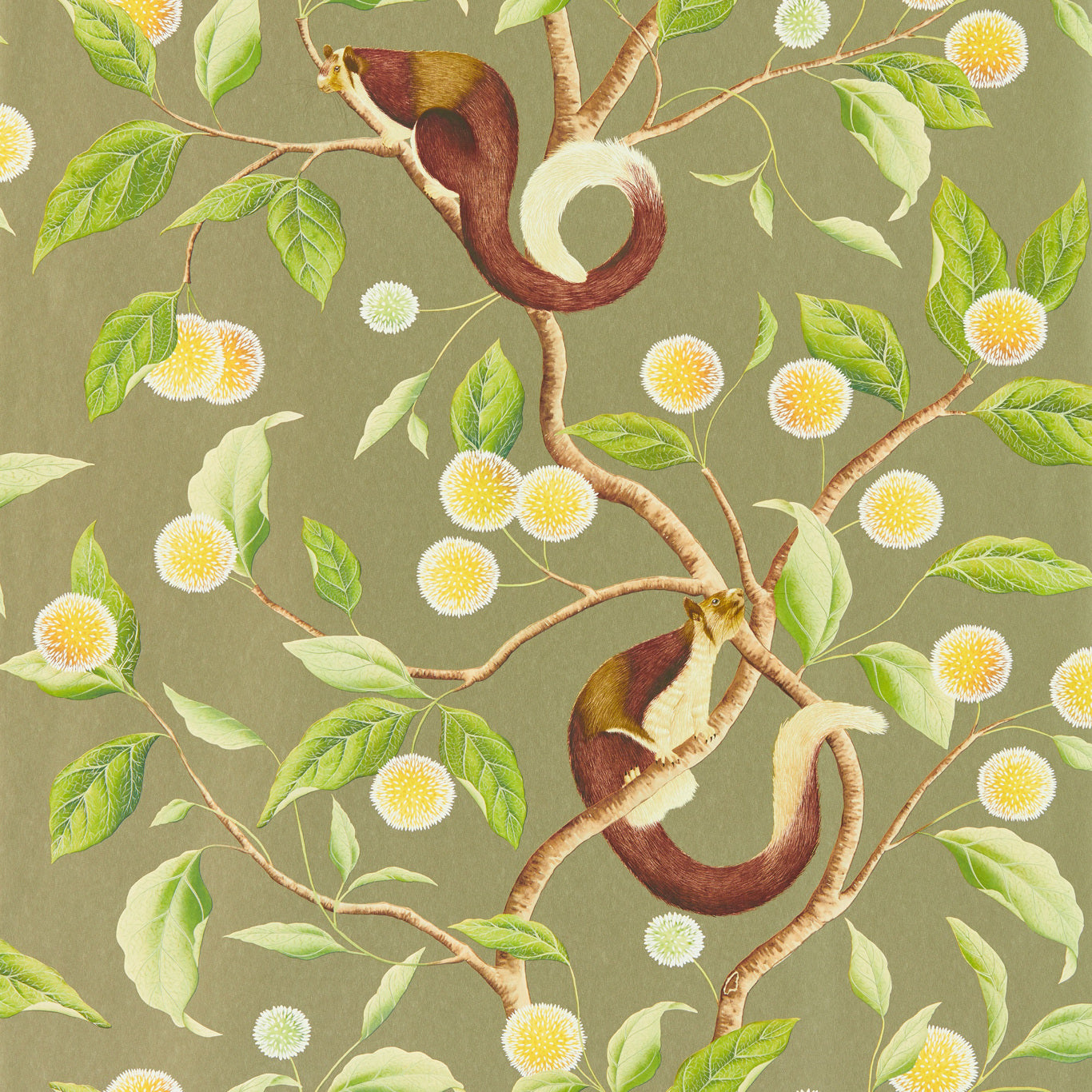 HARLEQUIN Nellie Wallpaper Leaves , Trees Gilver,Meadow Gravure - Wide Width Printed Wallpaper - HDHW112904