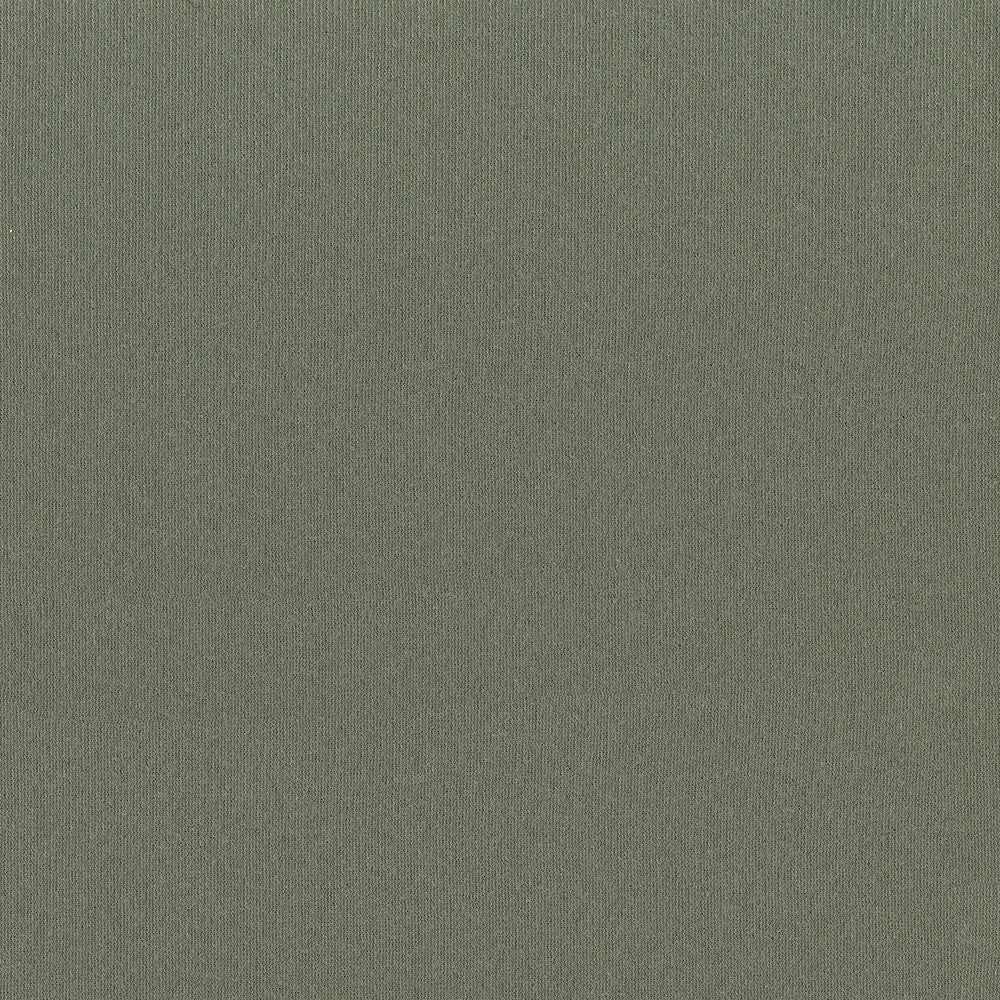 NICHOLASJOHN INC NJ-MANGINO Quicksilver Solid Fabric - NJ25-1519