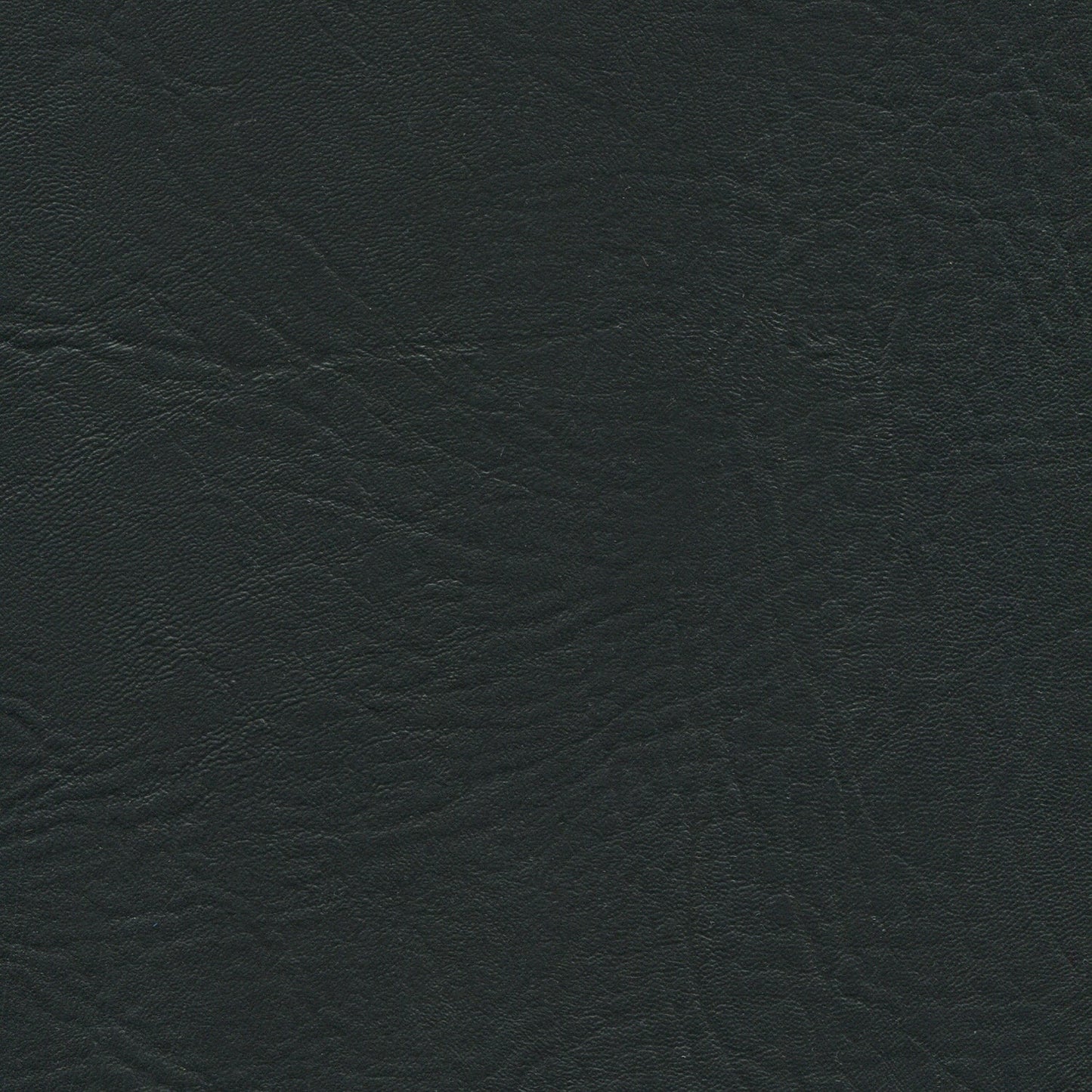 NICHOLASJOHN INC NJ-HIDI Black Fabric - NJ25-1624