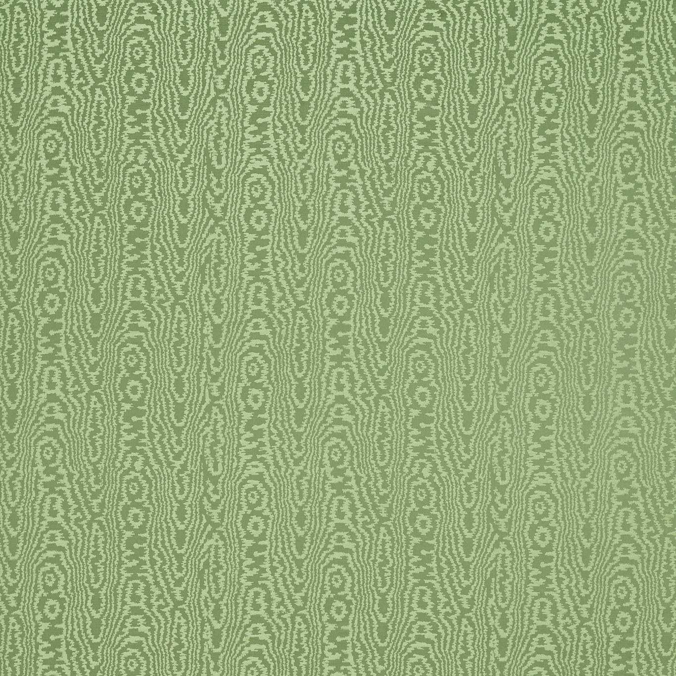 HARLEQUIN Elsworthy Fabric Abstract , Graphic Matcha - HHHM134233