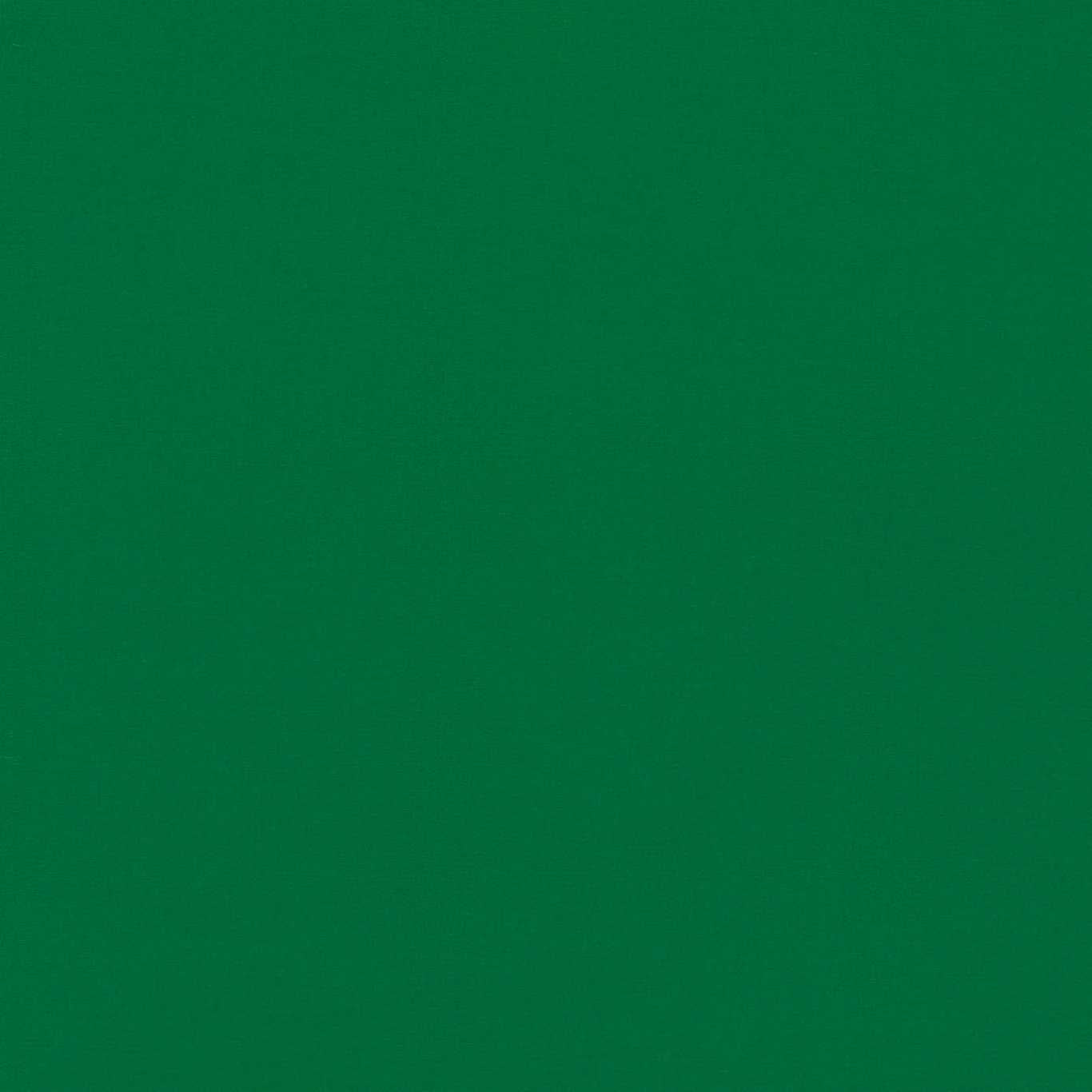 HARLEQUIN OUTLET Empower Plain Fabric Plains , Textures Bottle Green - HMOC133588