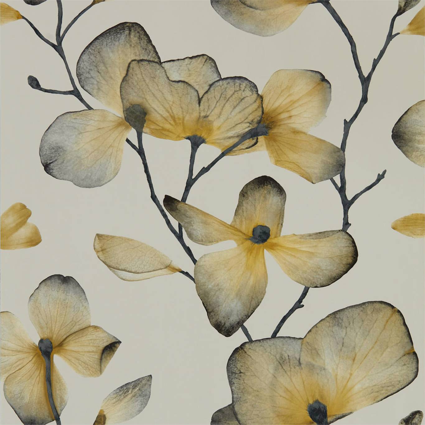 HARLEQUIN Kienze Wallpaper Contemporary, Floral Ochre,Steel Gravure - Wide Width Printed Wallpaper - HMWF111958