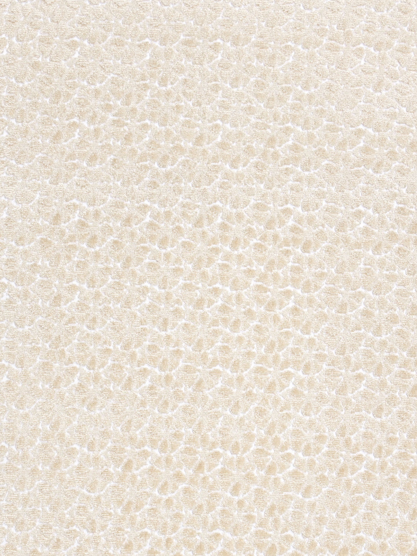Cream beige pebble-textured leather surface close-up.