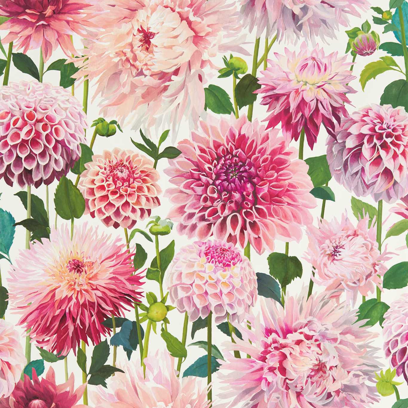 HARLEQUIN Dahlia Wallpaper Classic Floral Blossom,Emerald,New Beginnings Gravure - Wide Width Printed Wallpaper - HQN2112843