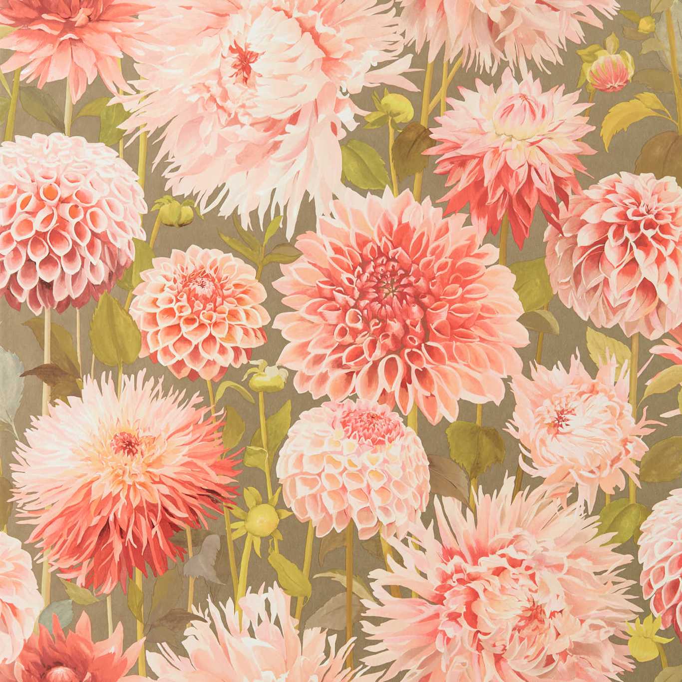 HARLEQUIN Dahlia Wallpaper Classic Floral Coral,Fig Leaf,Gilver Gravure - Wide Width Printed Wallpaper - HQN2112845