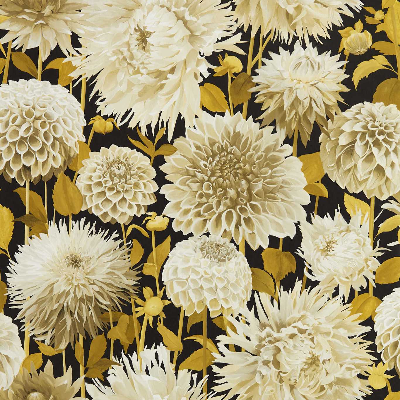 HARLEQUIN Dahlia Wallpaper Classic Floral Fig Blossom,Nectar,Black Earth Gravure - Wide Width Printed Wallpaper - HQN2112846