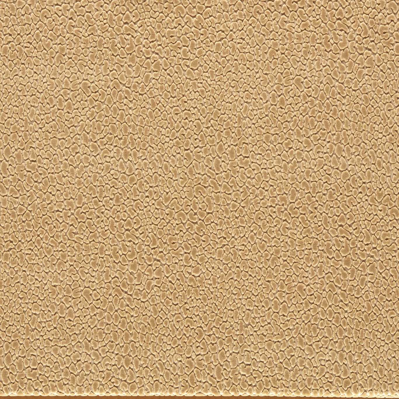 HARLEQUIN Lacuna Fabric Spots Sand - HRFV134036