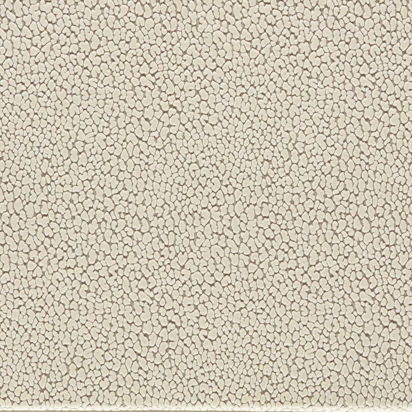 HARLEQUIN Lacuna Fabric Spots Chalk - HRFV134037